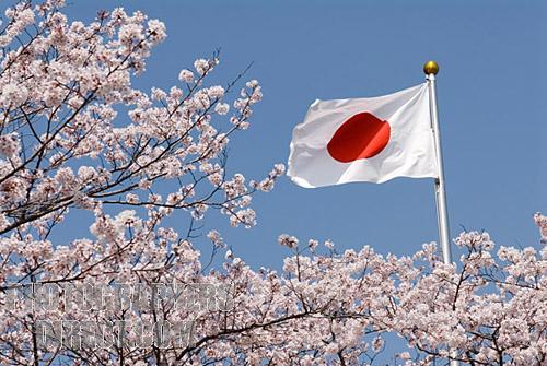 Japanese flag and cherry blossoms against blue sky . – MyTree.TV