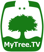 MyTree.TV