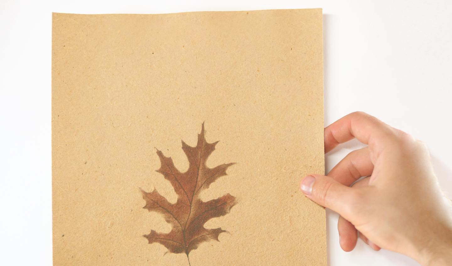 Re-leaf Paper?